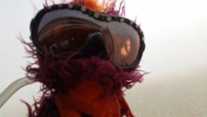 Stuck in a dust storm!