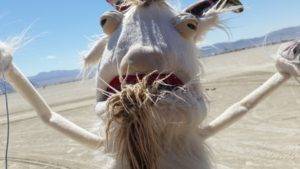 Loving the playa!